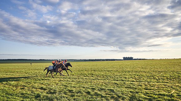 SUMMER GALLOPS-2nd-May-DJ-0737
