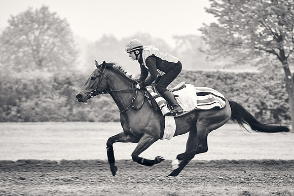 NEWMARKET-GALLOPS-24nd-APRIL-DJ-0188 1