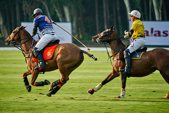THAI-POLO-OPEN-2019_DJ_0661