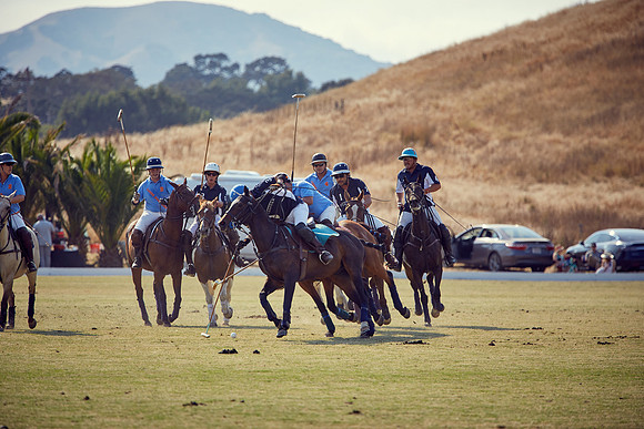 Oyster Cup Polo tournament