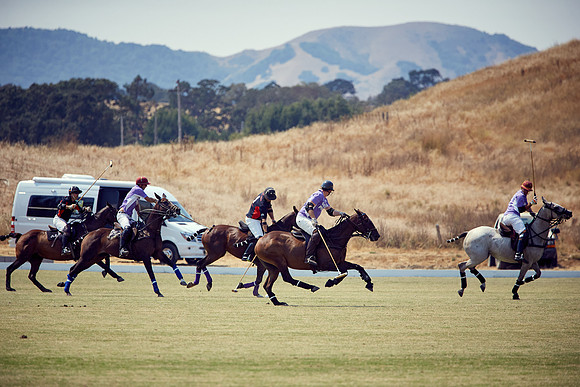 Oyster Cup Polo tournament