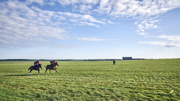 SUMMER GALLOPS-2nd-May-DJ-1681