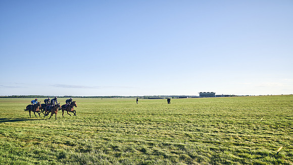 SUMMER GALLOPS-2nd-May-DJ-1067