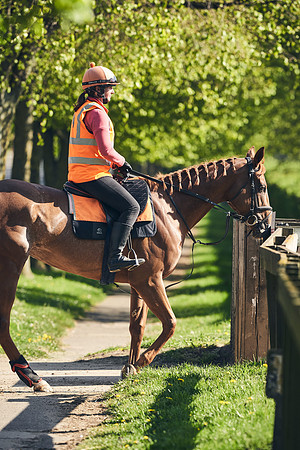 NEWMARKET-GALLOPS-22nd-APRIL-DJ-4065