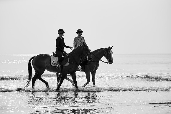 _DSC1653.ARW