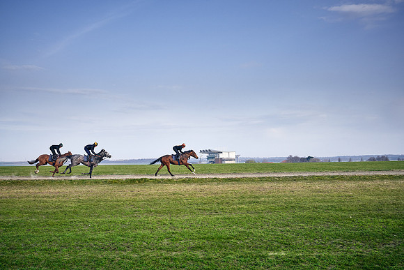 2021-03-31-Dominic-James-0342