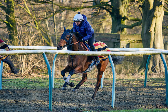 2022-02-26-Dominic-James-1798