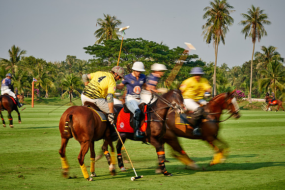 THAI-POLO-OPEN-2019_DJ_0509