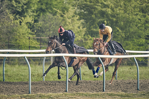 NEWMARKET-GALLOPS-24nd-APRIL-DJ-0569