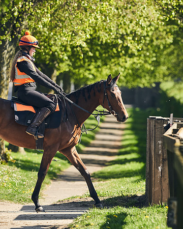 NEWMARKET-GALLOPS-22nd-APRIL-DJ-4125