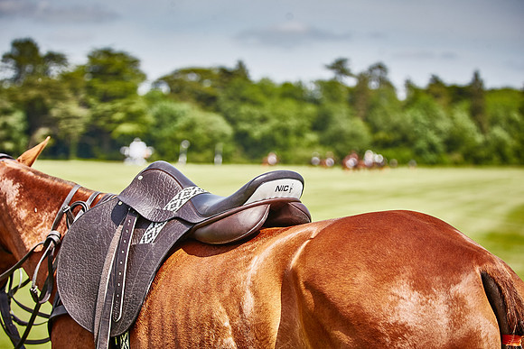 AQ1Y1448.CR2
