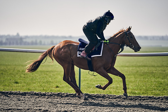 GEORGE-BOUGHEY-RACING-DJ-3344