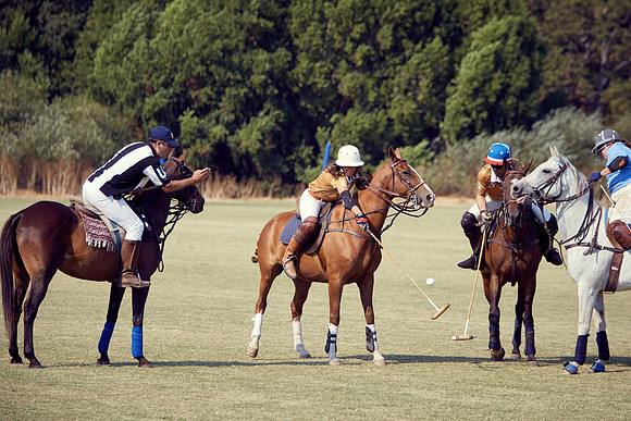 Oyster Cup Polo tournament