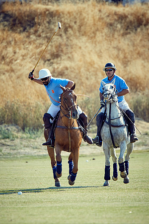 Oyster Cup Polo tournament