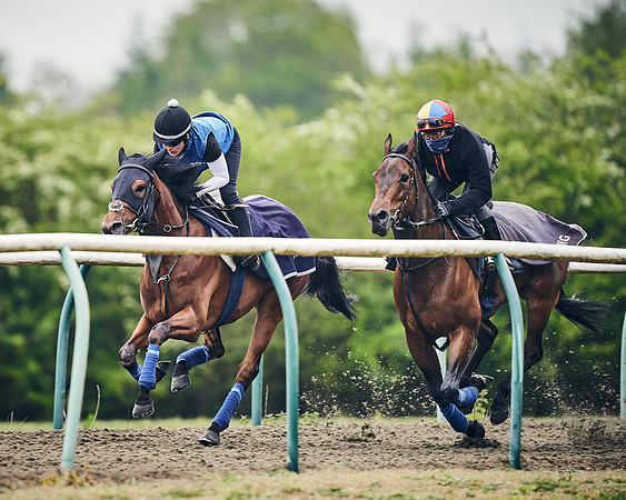 NEWMARKET-GALLOPS-25th-APRIL-DJ-0019