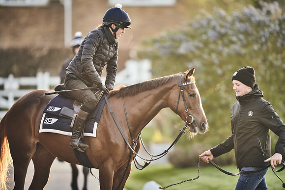 GEORGE-BOUGHEY-RACING-DJ-2522